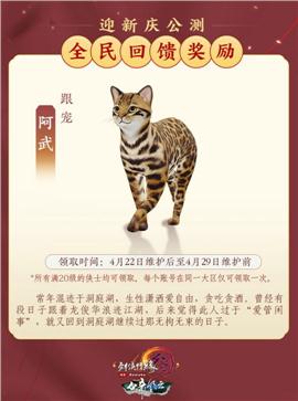 狂飙天龙八部私服